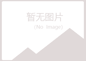 琼山夏槐会计有限公司